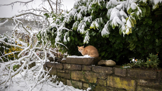 1759699 (a): :3840x2160